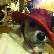 Loretta Ardine Phillips's photo
