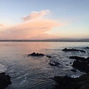 Bita Nazarian's photo