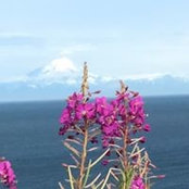 Cathy Torres's photo