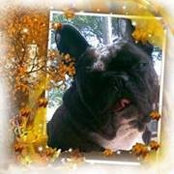Shirley Devonport's photo