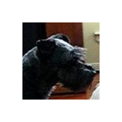 Cobie T's photo