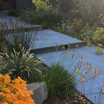 Modern Farmhouse Landscape Renovation, Novato, CA