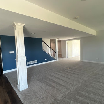Shneider Basement
