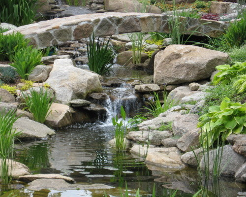 Backyard Waterfalls  Houzz