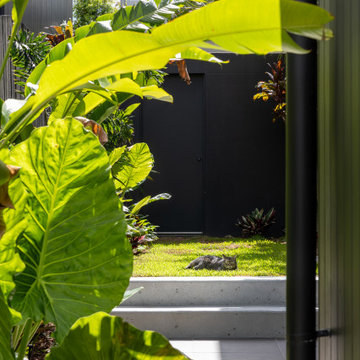 Inner City Tropical Paradise