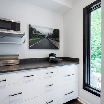 Modern Whole House Transformation in Minneapolis, MN