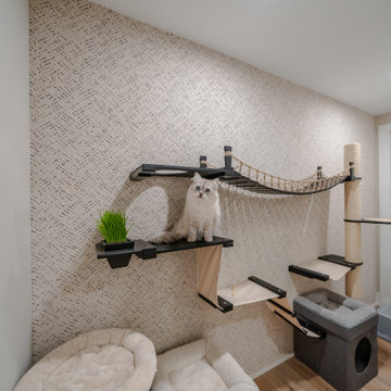 Basement Remodel - New Hope, PA