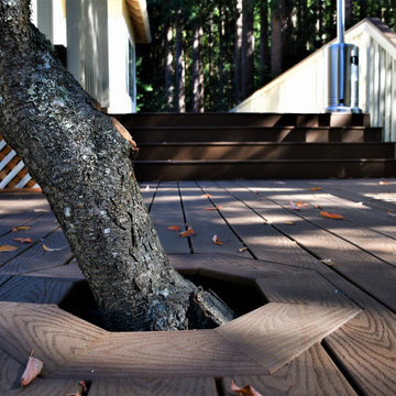 Taryn Ct Deck