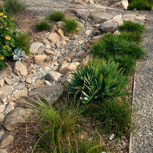 Wildflower Garden