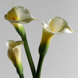 Calla Lily Ballet - Fine Art Prints