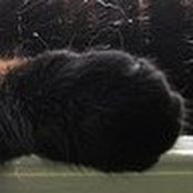 Tina Plottel's photo