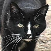 David Curran's photo