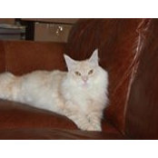 Shirley White's photo