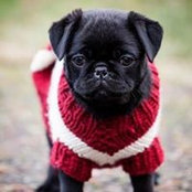 Sheri Newman's photo