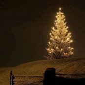 Debbie Morgan's photo
