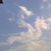 Nermin Bosankić's photo