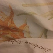 Alejandra Scheggia's photo