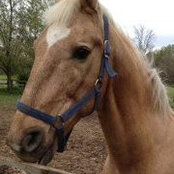Shawna Hixson's photo