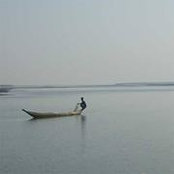 David Cohn's photo