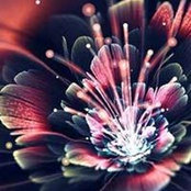 Karen James's photo