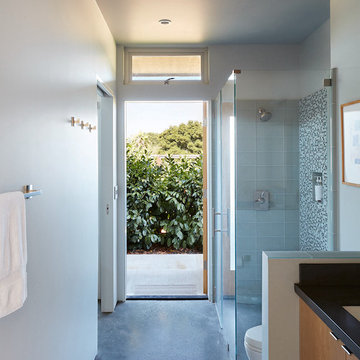 Sonoma Pool House and Guest House