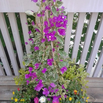 Summer Container Garden