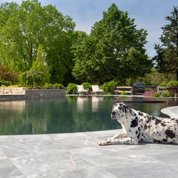 Barrington Hills, IL Freeform Perimeter Overflow with Perimeter Overflow Hot Tub