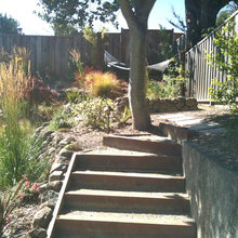 edith_ackerman's steps ideas