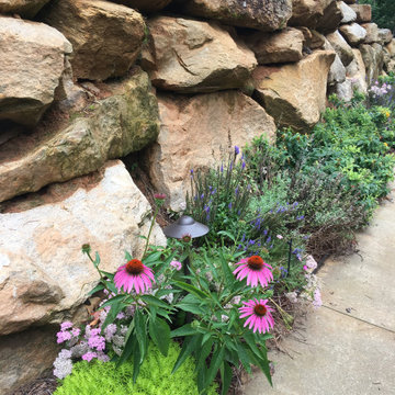 Wildflower Perennial Border