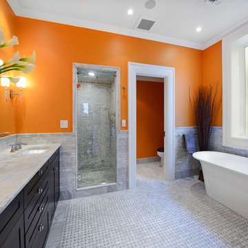 Extraordinary 28-foot wide Queen Anne mansion