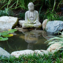 Garden ideas