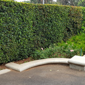 Gorgeous Gardens planters, raised flower beds