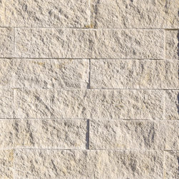 White Elm Vantage30 - Siding And Stone Veneer