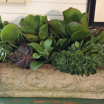 Window Boxes / Containers