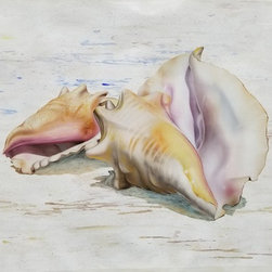 "Conch Shells" by Casas (3571) - Paintings