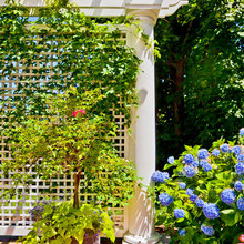 Patio Ideas