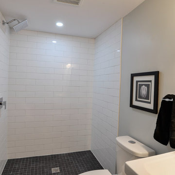 Contemporary Full Home Renovation