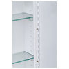 Deluxe Series Medicine Cabinet, 12"x36", Stainless Steel Frame, Surface Mount