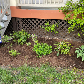 Natives and Edibles in Northwest