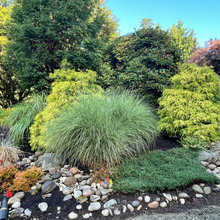 Yard ideas