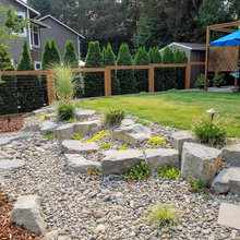 Backyard Landscape