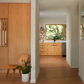 MCM Kitchen Remodel