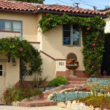 Succulents Replace Tiny Terraced Lawns
