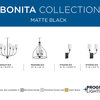 Bonita Collection Black 1-Light Wall Sconce