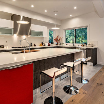 Monte Sereno Kitchen