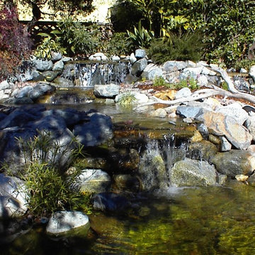 Best of www.socalpondpros.com