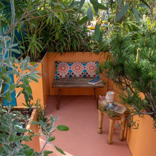 Back Garden