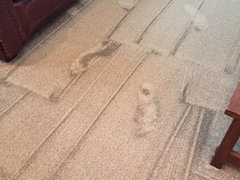 Smartstrand Carpet Dilema