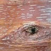 Alison Posts foto