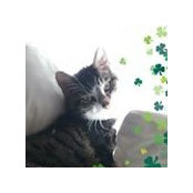 Valarie Cascadden's photo